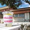 WILLOWS NURSERY