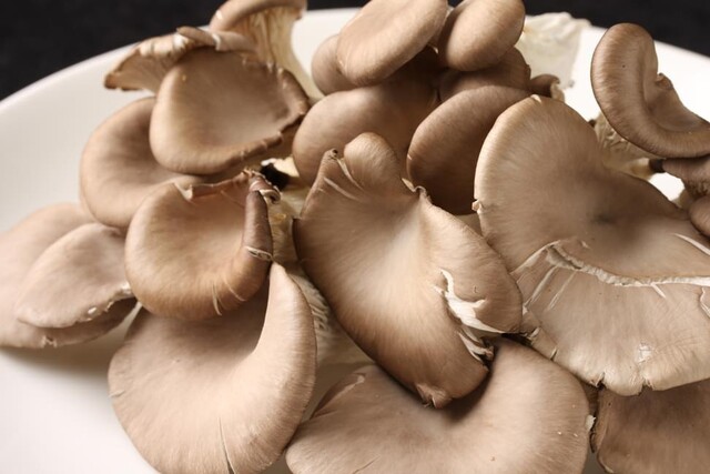 Tenshan Feiwei Akasaka Ten photo 2