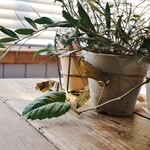 ​冬のRK GARDEN - 