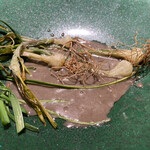 コントワール フー - 