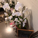 家庭的料理居酒屋 しろとくろ - 二月末にオープンしたばかりのようです