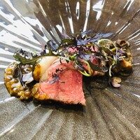 クイントカント - アップで♪