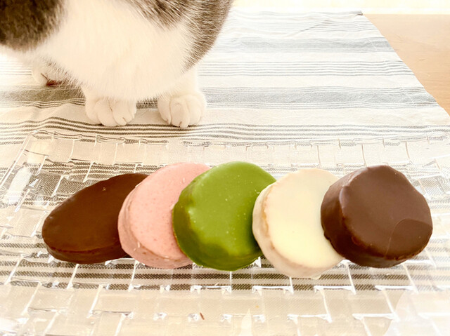 スリーズもけい 閉店】スイーツファクトリー スリーズ 堺東店 （Sweets Factory Cerise