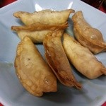 宇都宮みんみん - 揚餃子