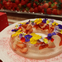 スプレンディード - 