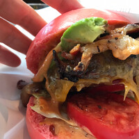 オーク ドア -  オーク ドア -