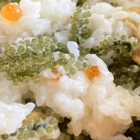 元祖 海ぶどう 本店 うみぶどう 恩納村 丼もの その他 食べログ 元祖 海ぶどう 本店 うみぶどう 恩納村 丼もの その他 食べログ