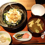 ヨッテマレ酒場 - 