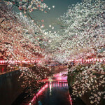Nakameguro Kakiiredoki - 目黒川の桜、散策の拠点の1つは中目黒。今年もお花見シーズンがやって来ました！