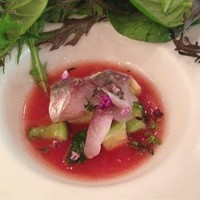 イル ギオットーネ 京都本店 - アジとトマトソース