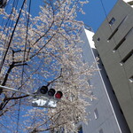 煮干し中華そば 一剣 - これは咲き誇っている