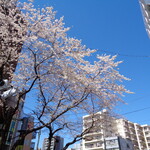 煮干し中華そば 一剣 - 桜と富士山は文句なく好きだ