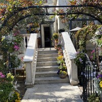 表参道バンブー - 