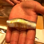 紀尾井町 三谷 - 