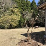 メッサペッサ - 