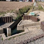 中華そば 四つ葉 - 