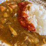 和かふぇよろずや - ランチメニュー@880円(税込)「あんずサバカレー」