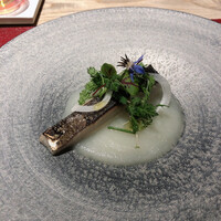 Restaurant COCON (鎌倉古今) - 