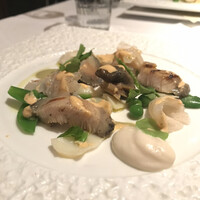 エルルカン・ビス - アオリイカと蝦夷あわびの春菜づくし 蕗の薹のソース