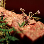 焼肉割烹 岩崎健志郎  - 