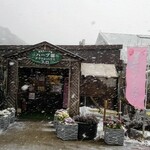 猪苗代ハーブ園 - 吹雪でした(;ﾟ∇ﾟ)　雪見さくら祭りやね