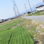 ビストロ セレニテ - 