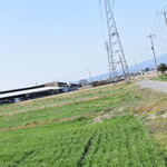 ビストロ セレニテ - 