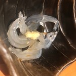 まんてん鮨 - 白魚