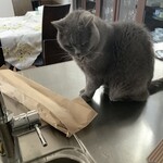 ブーランジェリー セイジアサクラ - バゲットと伝次郎