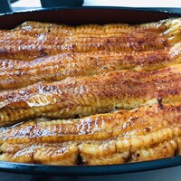 入谷鬼子母神門前のだや - かねみつ(7,480円)