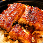 うなぎ 初音 - 皮はパリパリ、身はふっくら♪