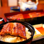 うなぎ 初音 - ご飯に乗せていただきました。