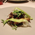 マルゴット エ バッチャーレ - ホワイトアスパラガスと蛍烏賊のロティ