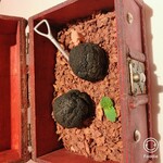 マルゴット エ バッチャーレ - シュークリーム