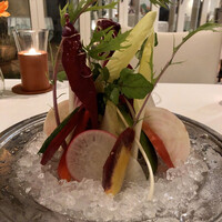 カーザ ヴィニタリア - 