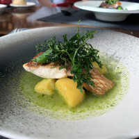 TRATTORIA CREATTA - 