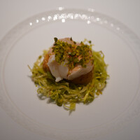 フォリオリーナ・デッラ・ポルタ・フォルトゥーナ - 