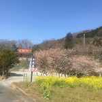 手打ちそば 石庄庵 - 