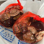 貝増商店 - 桑名産小 地はまぐり500g 2,500円×2