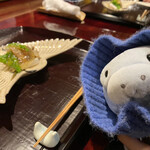 奈良 而今 - うちの子マナティのまるてぃはもう14歳♪