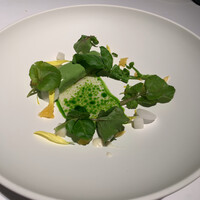 ブレストンコート ユカワタン - 