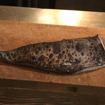 ろっかん - よこわ