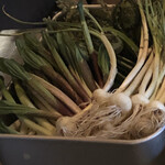 ろっかん - のびると行者ニンニク