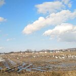 アートギャラリーポエム - 