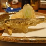 Tempura Kawa Tatsu - 