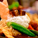 大衆中遊華食堂 八戒 - 3種あいがけ(肉団子カリィ、四川麻婆豆腐カリィ、生ラムクミン炒めカリィ)、魯肉トッピング 4人前