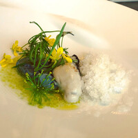 アコルドゥ - 牡蠣と菜の花