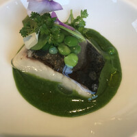 アコルドゥ - あおい香りの魚　若い豆