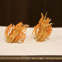 天白 - マキ海老