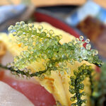 海鮮食堂 太陽 - 